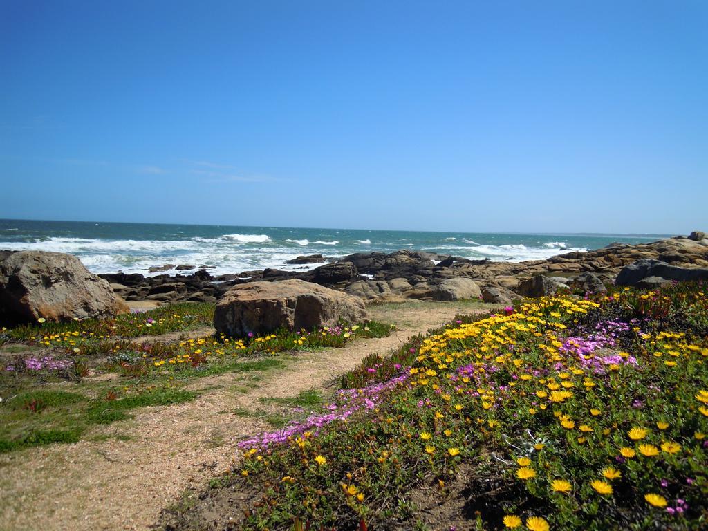 La Atrevida Bed & Breakfast Jose Ignacio  Exterior photo